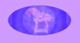 brahm_art_antique_show_nc001024.jpg